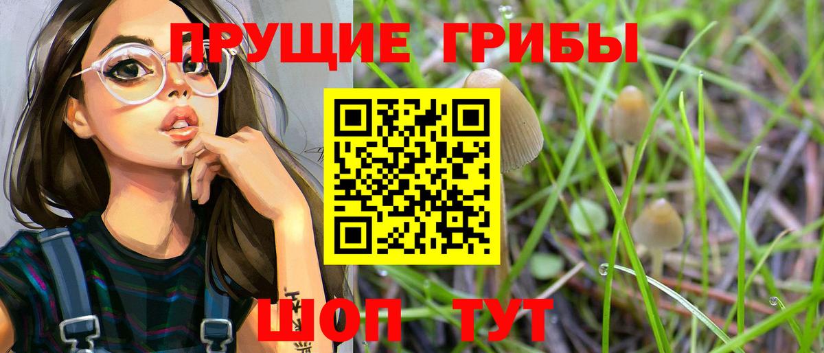 Петрозаводск  Галлюциногенные грибы Psilocybine cubensis  Вход с VPN 